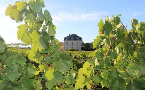 Saint Preignan