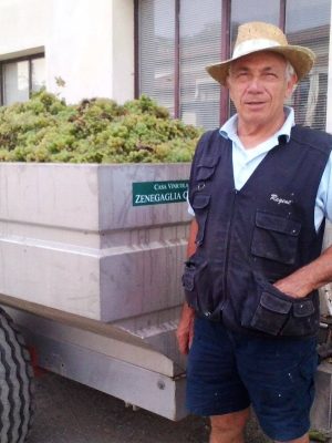 carlo-zenegaglia-senior