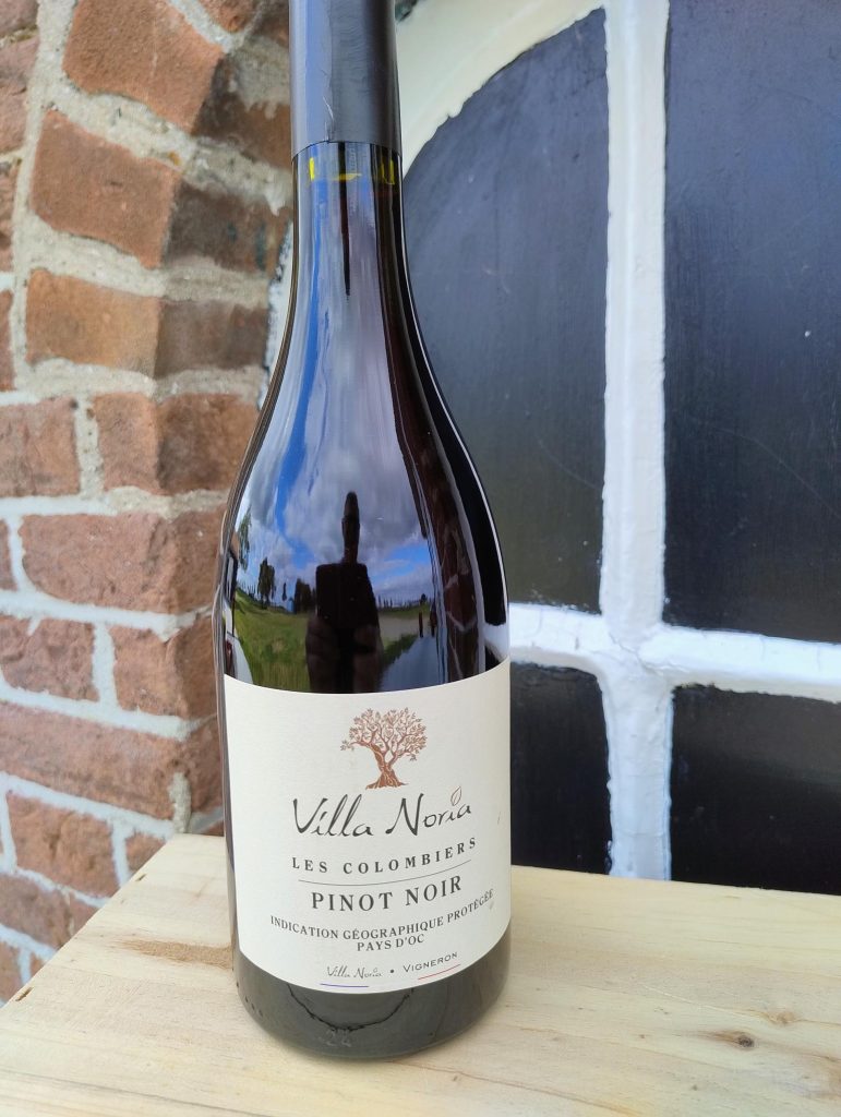 villa-noria-pinot-noir villa-noria-pinot-noir